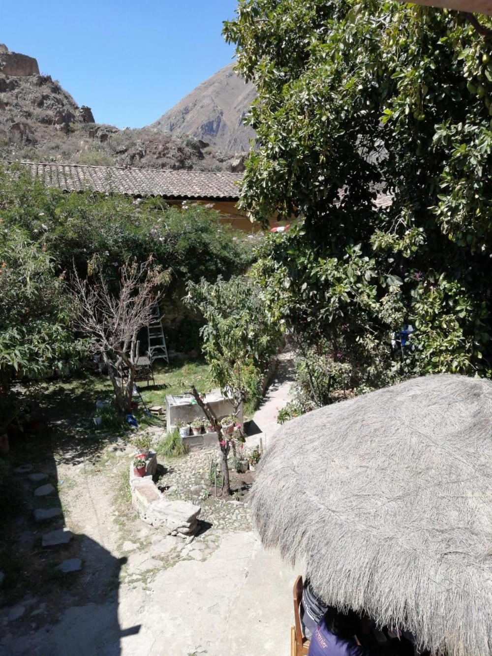 Room 1