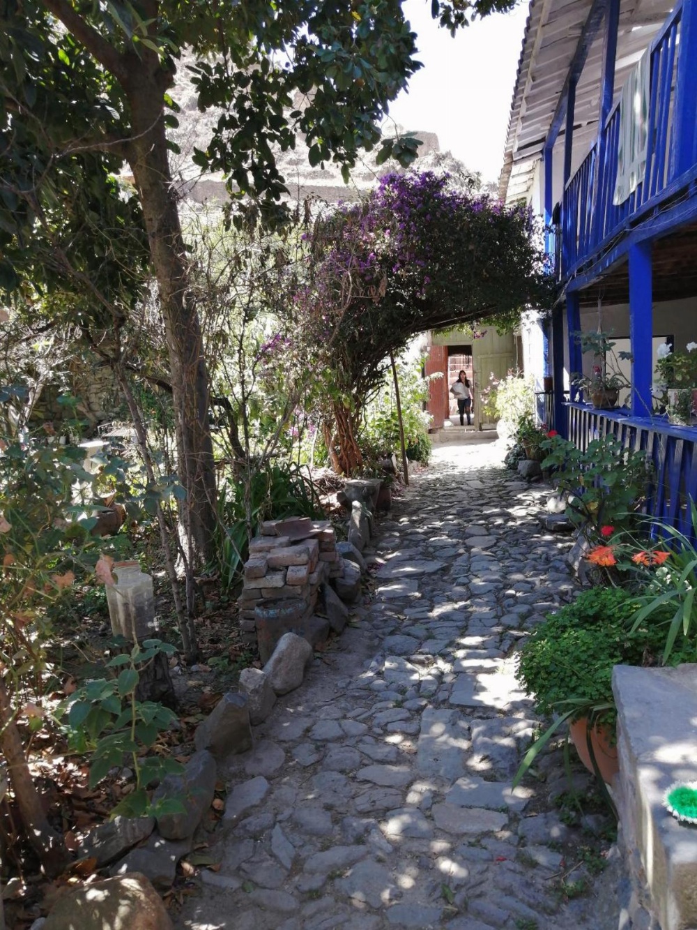 BBB el tambo Main image